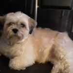 Profile Picture of James McCrimmon (@james.mccrimmon.332) on Instagram