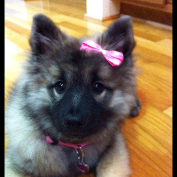 Profile Picture of Samantha Struckmann (@struckmann1) on Poshmark