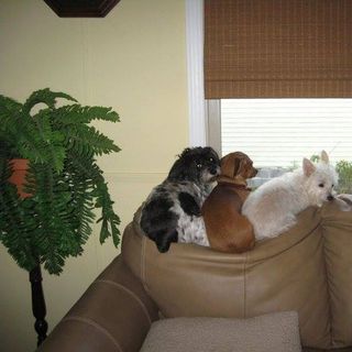 Profile Picture of Roberta L Morgan (@roberta.l.morgan) on Facebook