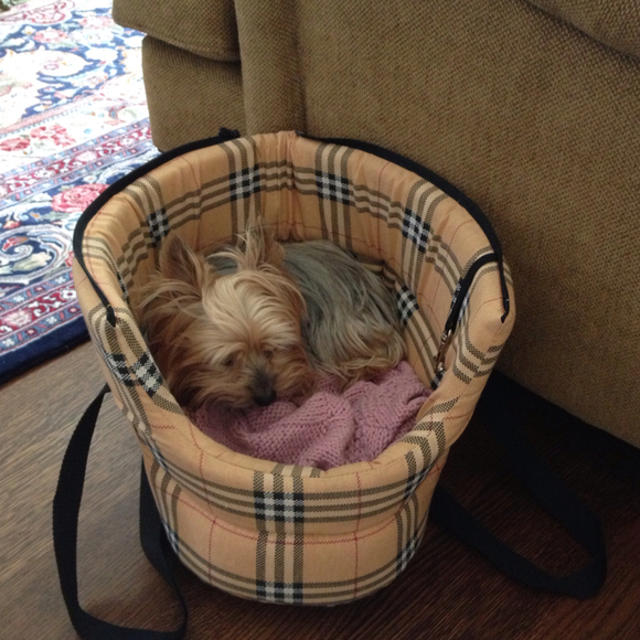 Profile Picture of Bella Dukshtein (@zivab) on Poshmark