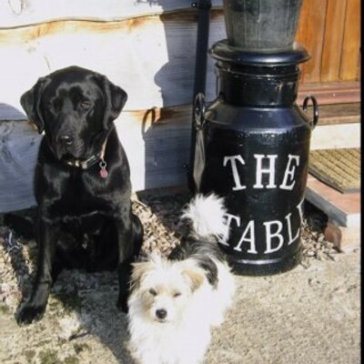 Profile Picture of Little Grove Stable (@AnneHLittleGrov) on Twitter