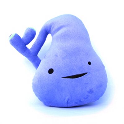 Profile Picture of Paul The Gall (@PaulTheGall) on Twitter