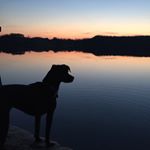 Profile Picture of Derek Schwartz (@derek.m.schwartz) on Instagram