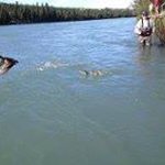 Profile Picture of Steven Kirkham (@skkirkham) on Instagram