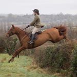 Profile Picture of Amber✨ (@a.skelton_eventing) on Instagram