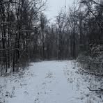 Profile Picture of Kenneth Bender (@Kenneth-Bender) on Facebook