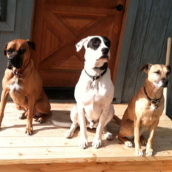 Profile Picture of Kelly Radovich (@khoush) on Poshmark