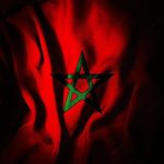 Profile Picture of мσнαмє∂ αмιηє (@mohamedamine.100) on Instagram
