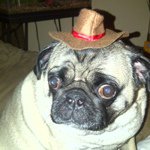 lobo - Instagram Profile Picture of lobo (@lorialonzo) on Instagram