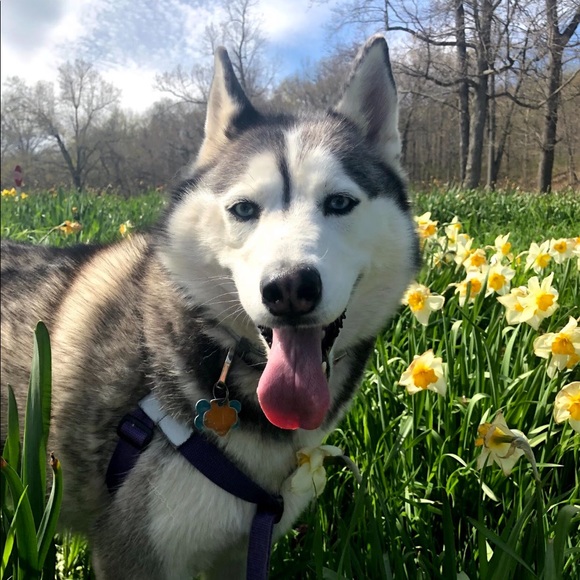 Profile Picture of Katie Sallen (@katiesall) on Poshmark