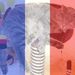 Profile Picture of Pauline Heindl (@pauline_2007) on Pinterest