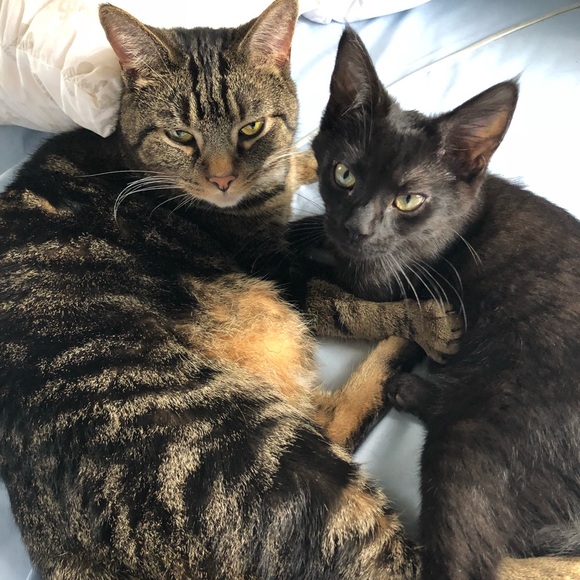 Profile Picture of Tatiana Emmert (@tatiana_0530) on Poshmark