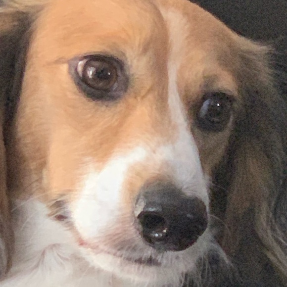 Damien Thornton - Poshmark Profile Picture of Damien Thornton (@unentertained) on Poshmark