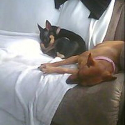 Profile Picture of John Colbourne (@johnbergeron14) on Twitter