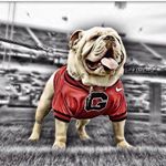 Profile Picture of Michael Nuckolls (@sammynuckolls) on Instagram