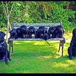 Botha97 - Instagram Profile Picture of Botha97 (@bothabrownvictor) on Instagram