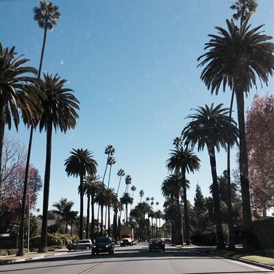 Profile Picture of MATT CAMPANELLA (@MWilliamCamp) on Twitter