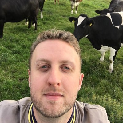 Profile Picture of Dan Kerins (@dankerins) on Twitter