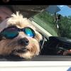 Profile Picture of Daniel Beyer (@@dbeyer22) on Tiktok