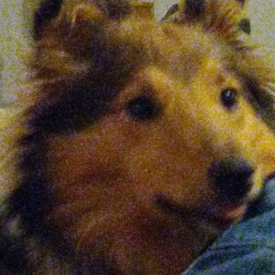 Profile Picture of Daniel Jásek (@Dan_Jasek) on Twitter