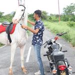Profile Picture of अश्व प्रेमी 💖🦄 (@amit___parmar_00) on Instagram