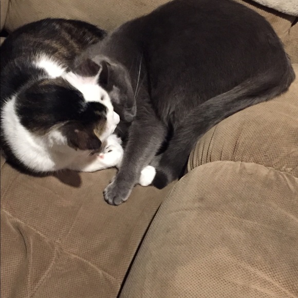 Penny Rowles - Poshmark Profile Picture of Penny Rowles (@penrowles29) on Poshmark