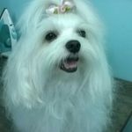 Profile Picture of Patrícia Debona (@patricia.debona.9) on Instagram