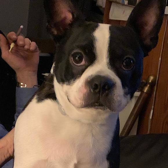 Profile Picture of Lorie Cowey baumgarner (@lbaumgarner) on Poshmark