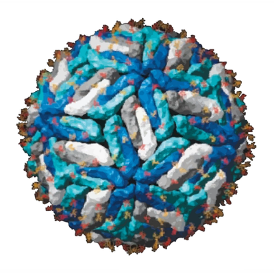 Alex Tarr - Twitter Profile Picture of Alex Tarr (@AlexWTarr) on Twitter