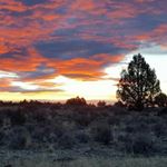Profile Picture of Mary Metcalf (@mary.metcalf.9803) on Instagram