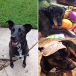 Profile Picture of Treva Alexander (@trevaalexander) on Instagram