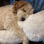 Profile Picture of Shawna Turner Ginter (@shawnaturnerginter) on Instagram
