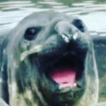 Profile Picture of Guy Brown (@guyb_ig) on Instagram