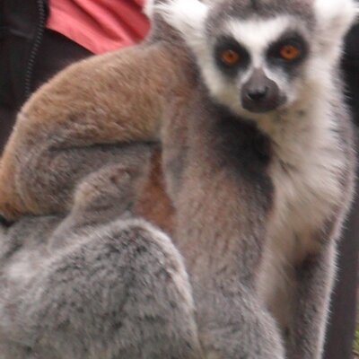 Profile Picture of James Ashford (@JamesAshford3) on Twitter