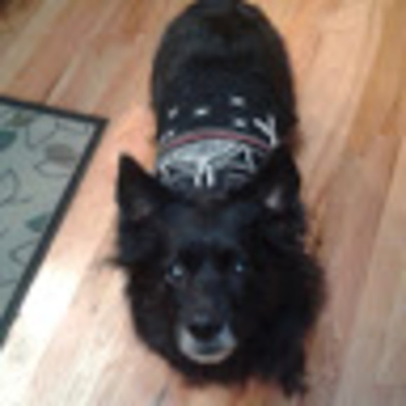 Madelyn Stoneman - Poshmark Profile Picture of Madelyn Stoneman (@madylstoneman) on Poshmark