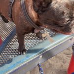 Profile Picture of Drago Rodriguez (@drago_kall) on Instagram