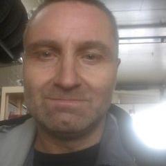 Profile Picture of bird (@robinsnook) on Tiktok