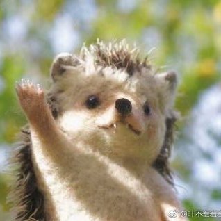 Profile Picture of YangPan (@YangPan18) on Twitter