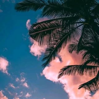 Profile Picture of Alyssa.carrier (@alyssa.carrier) on Instagram