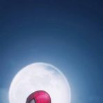 Profile Picture of Aaron Cavani (@Aaron-Cavani) on Facebook