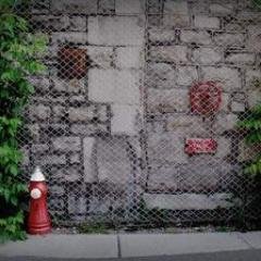 Profile Picture of Mike L Novacek (@MikeLNovacek) on Twitter