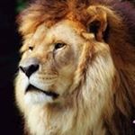 Profile Picture of Michael Jahner (@jahnermichael) on Instagram