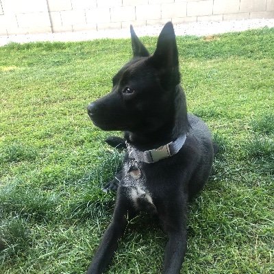 Profile Picture of Nathan Schnell (@NathanSchnell5) on Twitter