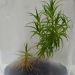 Profile Picture of Gi-Won Jang (@giwonjang) on Instagram