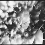 Profile Picture of Jay Lehman (@thegloryofthestars) on Instagram