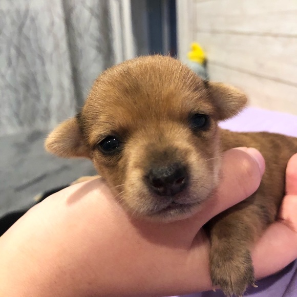 Profile Picture of Sam Brinkley (@sam_brinkley) on Poshmark