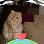 Profile Picture of Alison Slusarchuk (@Alison-Slusarchuk) on Facebook