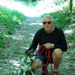 Profile Picture of Bruno Forcucci (@brunoforcucci) on Tiktok