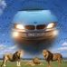 Profile Picture of Nicu Neagu (@nicu.neagu.9400) on Facebook