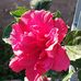 Profile Picture of Maria Modugno (@maria.modugno.9) on Facebook